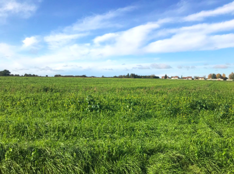 Terrain à bâtir de 404 m² à ITEUIL (86)